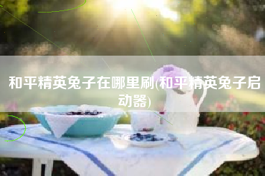 和平精英兔子在哪里刷(和平精英兔子启动器)