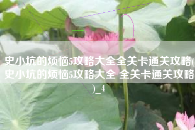 史小坑的烦恼5攻略大全全关卡通关攻略(史小坑的烦恼5攻略大全 全关卡通关攻略)_4