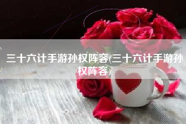 三十六计手游孙权阵容(三十六计手游孙权阵容)