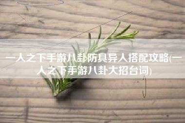 一人之下手游八卦防具异人搭配攻略(一人之下手游八卦大招台词)