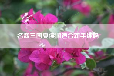 名酱三国夏侯渊适合新手练吗