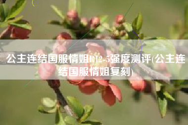 公主连结国服情姐R12-5强度测评(公主连结国服情姐复刻)