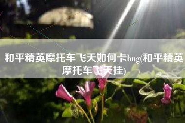 和平精英摩托车飞天如何卡bug(和平精英摩托车飞天挂)