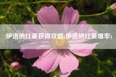 伊洛纳红菱获得攻略(伊洛纳红菱爆率)