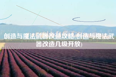 创造与魔法武器改造攻略(创造与魔法武器改造几级开放)
