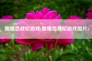 姬魔恋战纪游戏(姬魔恋战纪游戏图片)