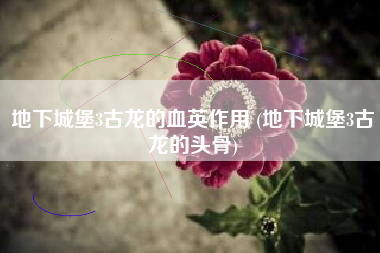 地下城堡3古龙的血英作用 (地下城堡3古龙的头骨)