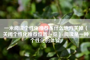 一米阅读个性化推荐在什么地方关掉（关闭个性化推荐位置一览）(阅读是一种个性化的体验)