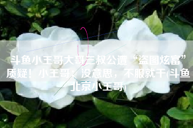 斗鱼小王哥大哥三叔公遭“盗图炫富”质疑！小王哥：没意思，不服就干(斗鱼北京小王哥)