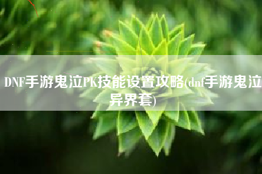 DNF手游鬼泣PK技能设置攻略(dnf手游鬼泣异界套)
