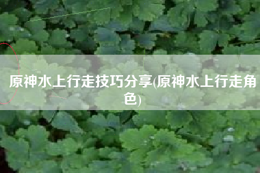 原神水上行走技巧分享(原神水上行走角色)