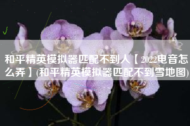 和平精英模拟器匹配不到人【2022电音怎么弄】(和平精英模拟器匹配不到雪地图)