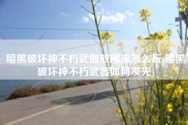 暗黑破坏神不朽武僧放圈流怎么玩(暗黑破坏神不朽武器如何发光)