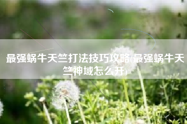最强蜗牛天竺打法技巧攻略(最强蜗牛天竺神域怎么开)