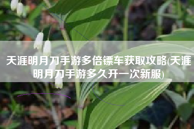 天涯明月刀手游多倍镖车获取攻略(天涯明月刀手游多久开一次新服)