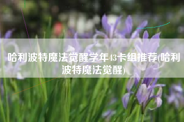 哈利波特魔法觉醒学年43卡组推荐(哈利波特魔法觉醒)