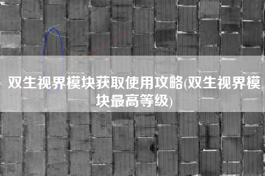双生视界模块获取使用攻略(双生视界模块最高等级)