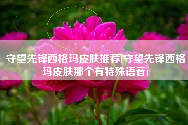 守望先锋西格玛皮肤推荐(守望先锋西格玛皮肤那个有特殊语音)