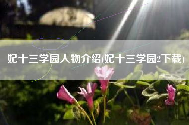 妃十三学园人物介绍(妃十三学园2下载)