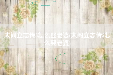 太阁立志传5怎么娶老婆(太阁立志传5怎么娶老婆)