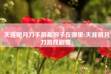 天涯明月刀手游郝厨子在哪里(天涯明月刀游戏剧情)