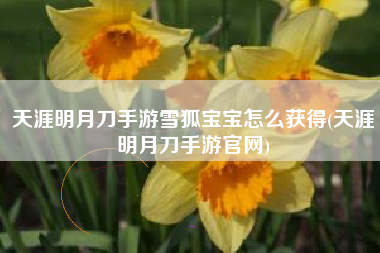 天涯明月刀手游雪狐宝宝怎么获得(天涯明月刀手游官网)