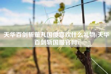 天华百剑斩萤丸国俊喜欢什么礼物(天华百剑斩国服官网)