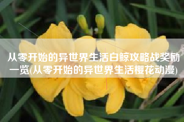 从零开始的异世界生活白鲸攻略战奖励一览(从零开始的异世界生活樱花动漫)