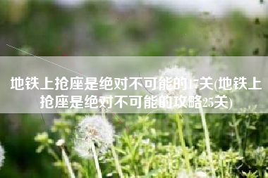 地铁上抢座是绝对不可能的17关(地铁上抢座是绝对不可能的攻略25关)