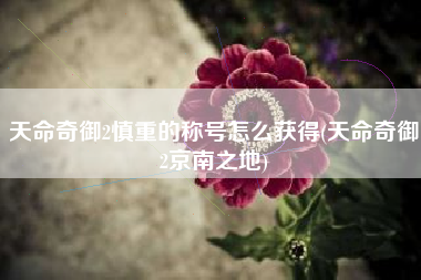 天命奇御2慎重的称号怎么获得(天命奇御2京南之地)