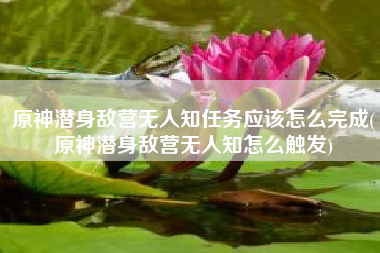原神潜身敌营无人知任务应该怎么完成(原神潜身敌营无人知怎么触发)