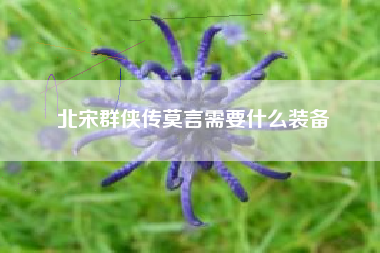 北宋群侠传莫言需要什么装备