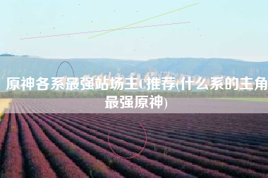 原神各系最强站场主C推荐(什么系的主角最强原神)