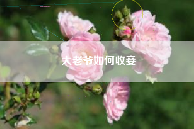 大老爷如何收妾