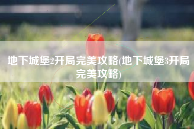 地下城堡2开局完美攻略(地下城堡3开局完美攻略)