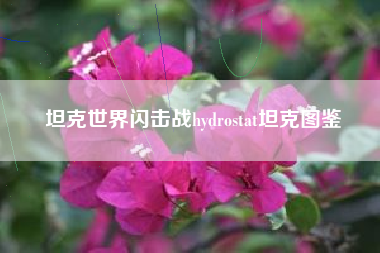 坦克世界闪击战hydrostat坦克图鉴