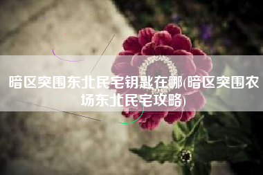 暗区突围东北民宅钥匙在哪(暗区突围农场东北民宅攻略)