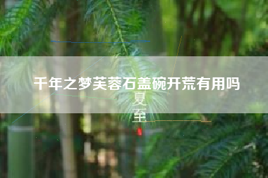 千年之梦芙蓉石盖碗开荒有用吗