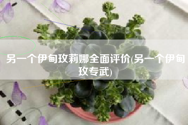 另一个伊甸玫莉娜全面评价(另一个伊甸玫专武)