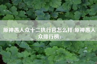原神愚人众十二执行官怎么样(原神愚人众排行榜)