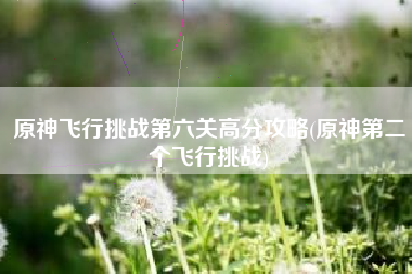原神飞行挑战第六关高分攻略(原神第二个飞行挑战)