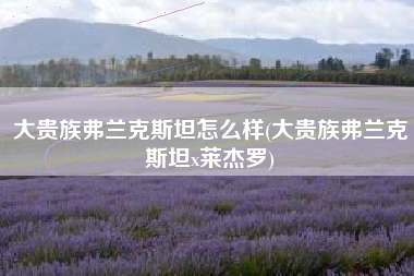 大贵族弗兰克斯坦怎么样(大贵族弗兰克斯坦x莱杰罗)