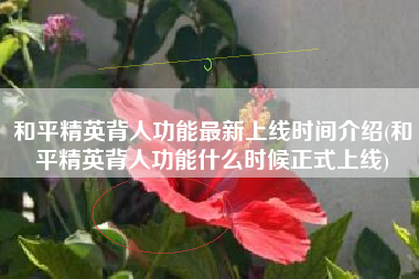 和平精英背人功能最新上线时间介绍(和平精英背人功能什么时候正式上线)