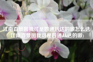 江南百景图我可是四通八达的嗷怎么选(江南百景图我可是四通八达的嗷)