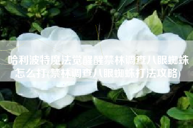 哈利波特魔法觉醒醒禁林调查八眼蜘蛛怎么打(禁林调查八眼蜘蛛打法攻略)