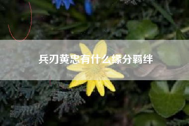 兵刃黄忠有什么缘分羁绊