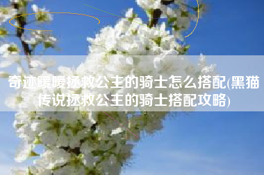 奇迹暖暖拯救公主的骑士怎么搭配(黑猫传说拯救公主的骑士搭配攻略)
