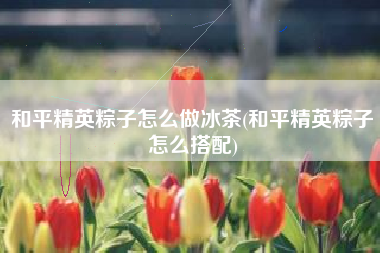 和平精英粽子怎么做冰茶(和平精英粽子怎么搭配)
