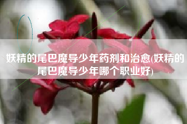 妖精的尾巴魔导少年药剂和治愈(妖精的尾巴魔导少年哪个职业好)