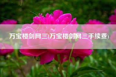 万宝楼剑网三(万宝楼剑网三手续费)